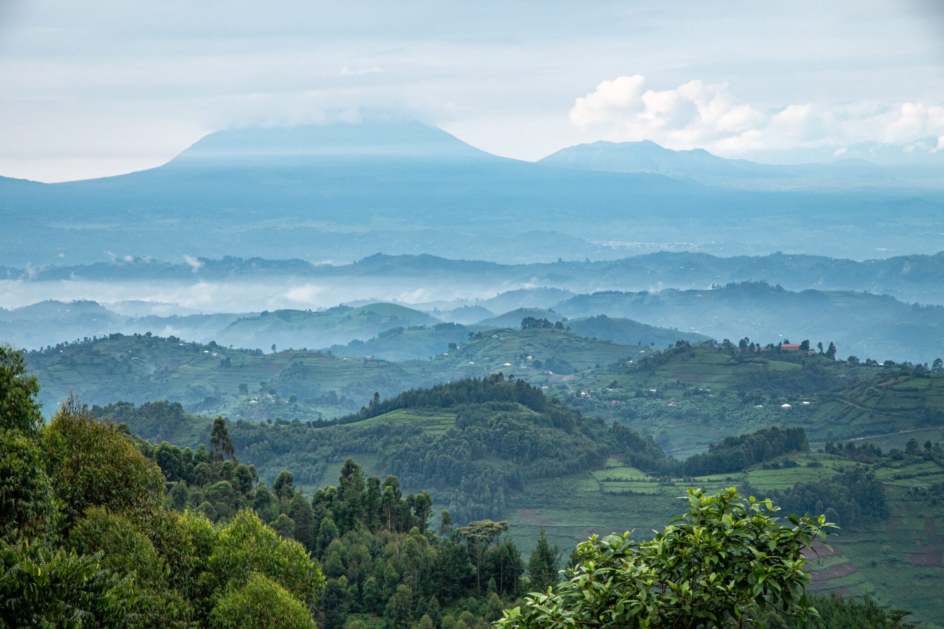 Uganda 2020, XI Gorillatracking allcontinentsinonelife