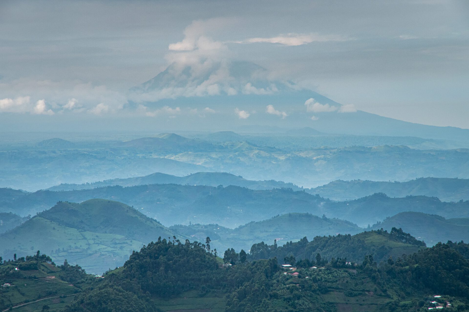 Uganda 2020, XI Gorillatracking allcontinentsinonelife